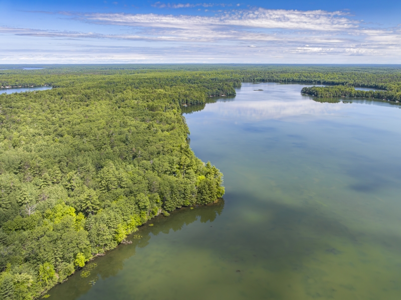 Horsehead Lake Cabins